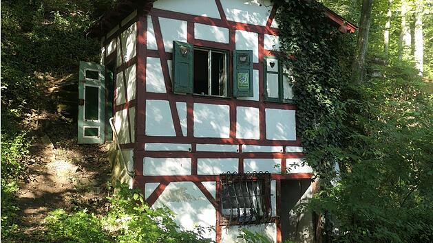 SplitImage 1767869946