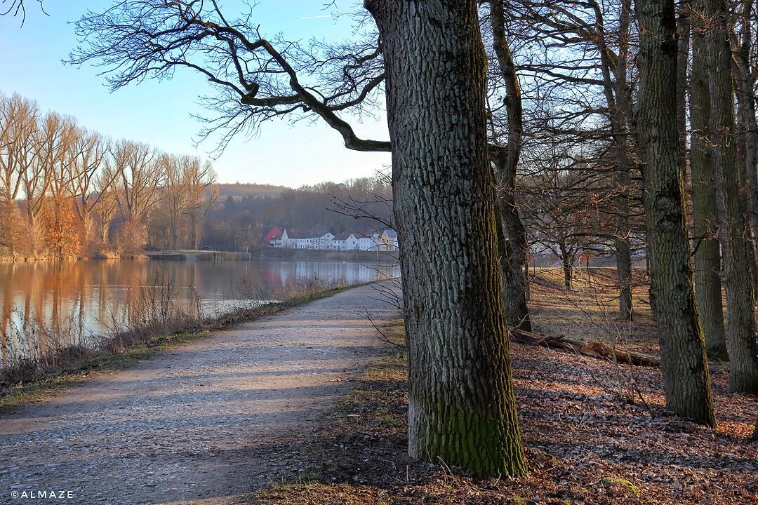 Die schönsten Winterfotos aus Bamberg und Umgebung