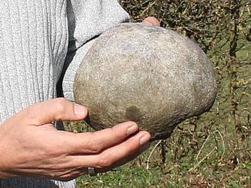 Hubert Kolling hat das Teil eines Schädels im Banzer Wald gefunden. Foto: privatHubert Kolling hat das Teil eines Schädels im Banzer Wald gefunden. Foto: privat