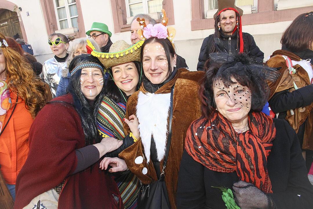 Fasching 2025 in Stadtsteinach!