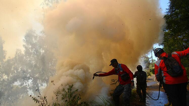 Waldbrand in Indonesien