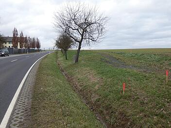 Der Landkreis will einen Fahrradweg vom Kreisel am Distelfeld in Haßfurt bis zum Kreisbauhof bauen. Eine mögliche Trasse ist auf der östlichen Fahrbahnseite der Kreisstraße bereits abgesteckt. Christian Licha