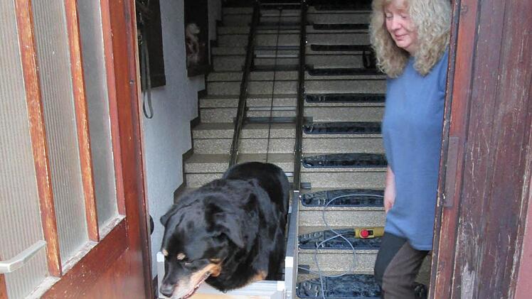 Conny B&ouml;hm freut sich, wie H&uuml;ndin Leonie mit dem eigens f&uuml;r sie gebauten Treppenlift f&auml;hrt.  Foto: Diana Leitsch