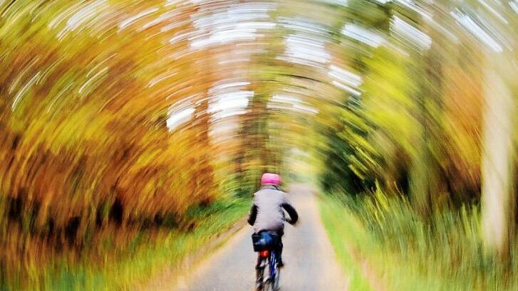 Marktleugast will sich um ein besseres Radwegenetz kümmern. Symbolbild: Julian Stratenschulte/dpa
