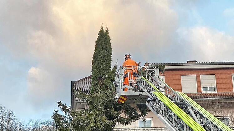 In der Bad Brückenauer Konrad-Zirkel-Straße drohte ein Baum wegen des Sturmes umzustürzen.