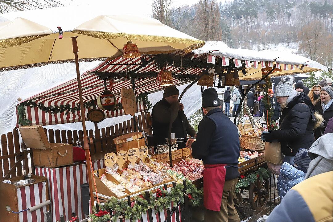 Über 100 Aussteller waren vor Ort.