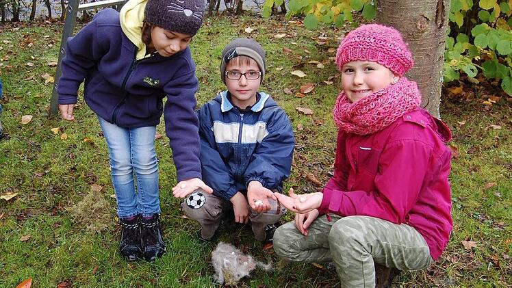 Lina, Tobias und Valentina fanden in dem alten Nest noch kleine Eier, die nicht ausgebrütet waren.