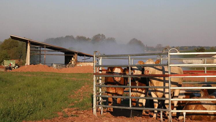 Eindrücke vom Morgen nach dem Brand. Foto: Ralf Ruppert