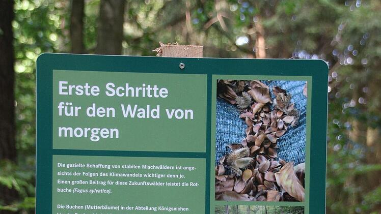 Mit Tafeln am Weg informieren die Staatsforsten über die Erntemaßnahme. Foto: Katrin Geyer