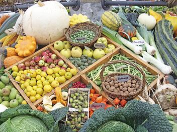 Geerntetes Gemüse am Brunnen in Heiligenstadt 2017  Fotos: privat