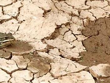 Ein bisschen Feuchtigkeit gibt es noch, es wird aber von Tag zu Tag schlimmer.  Foto: Michael Busch