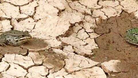 Ein bisschen Feuchtigkeit gibt es noch, es wird aber von Tag zu Tag schlimmer.  Foto: Michael Busch