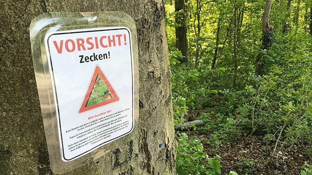 Zeckengefahr: Bayern ist FSME-Risikogebiet - bis auf eine fr&auml;nkische Stadt