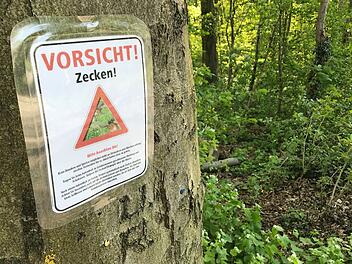 Zeckengefahr: Bayern ist FSME-Risikogebiet - bis auf eine fr&auml;nkische Stadt