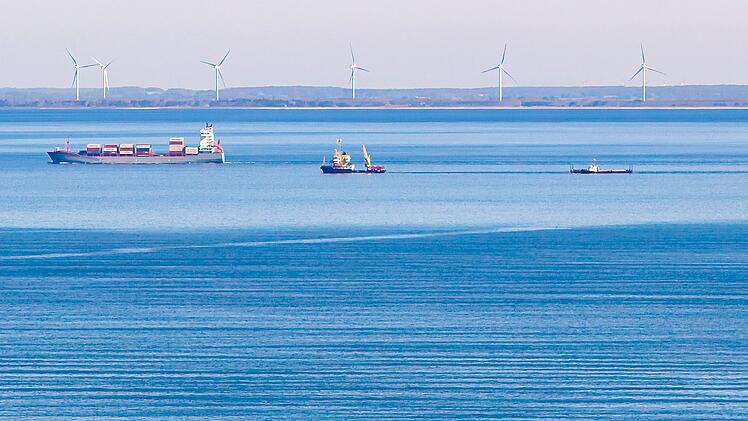 Weitere Entwicklung zum Buckelwal in der Ostsee