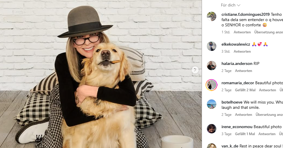Diane Keaton gestorben: Laut Testament vererbt sie Millionen an ihren Hund