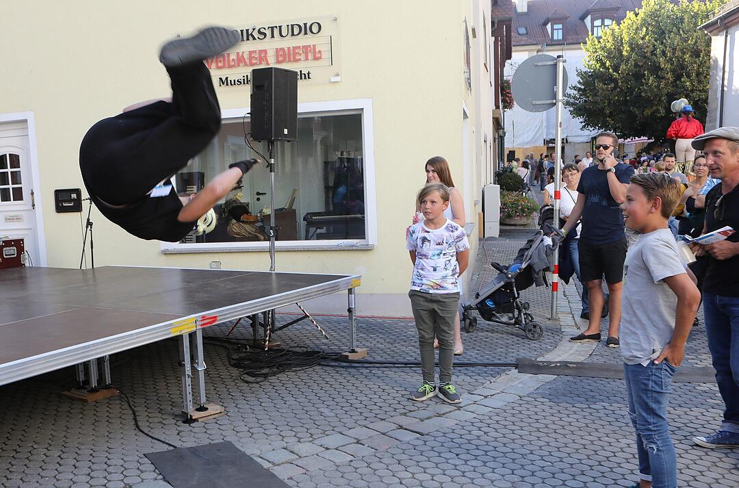 Einrücke vom Artistik-Festival ZirkArt in Forchheim