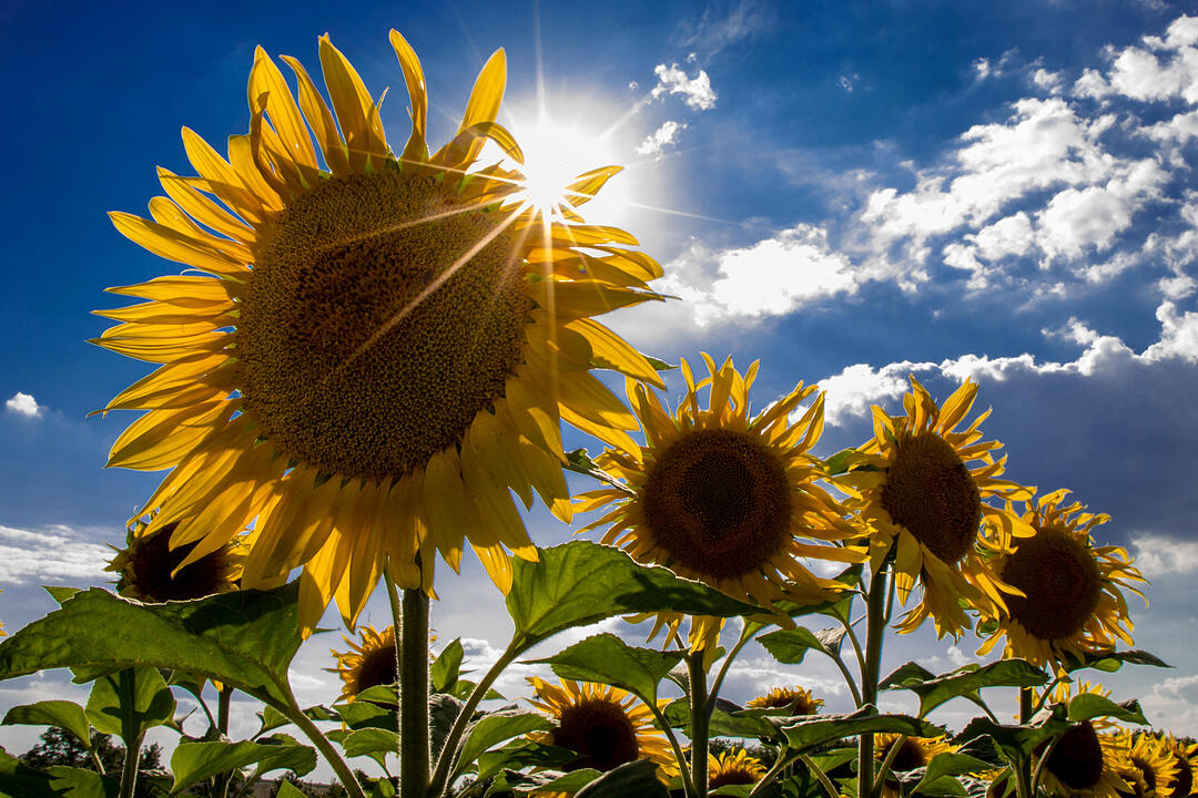 Fotos Konrad Thomann