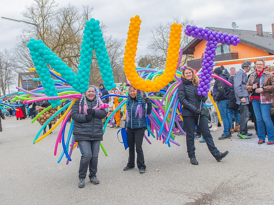 Fasching in Allersberg.