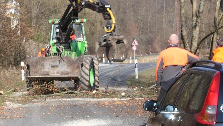 Baumfällarbeiten in der Au.  Foto: Robert Huger