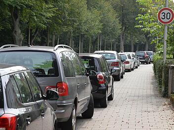 Parken im Bamberger Haingebiet soll jetzt für Anwohner einfacher werdden. Foto: Ronald Rinklef
