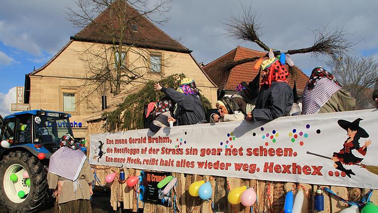 Der Faschingszug durch Höchstadt  - Foto: Andreas Dorsch