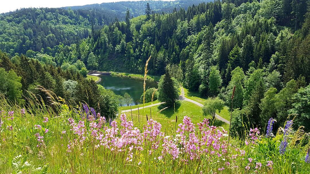 Die schönsten Fotos im Mai aus Kronach und Umgebung