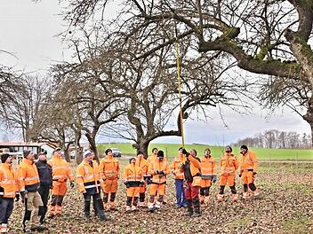 Obstbäumen, wie diesem knorrigen Baum, rückten die Teilnehmer des Baumschnittkurses der Baunach-Allianz zu Leibe.  Fotos: Helmut Will
