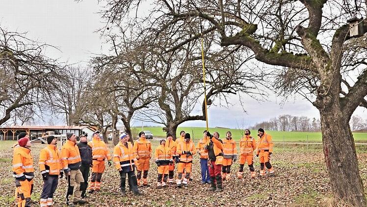 Obstbäumen, wie diesem knorrigen Baum, rückten die Teilnehmer des Baumschnittkurses der Baunach-Allianz zu Leibe.  Fotos: Helmut Will