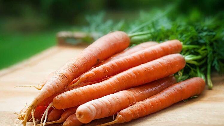 karotte.jpg