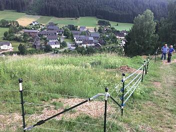 Ludwigsstadt hat sich im Landkreis Kronach, was das Thema "Landschaftspflege" betrifft, zu einem Schwerpunkt entwickelt. Seltene Pflanzen und Tiere sollen erhalten werden.privat