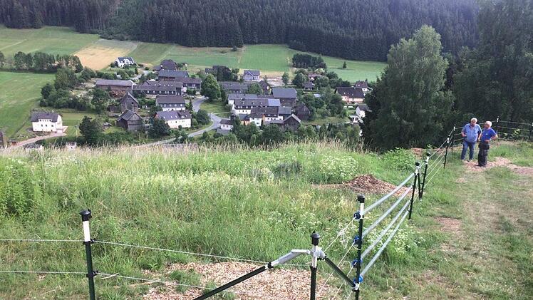 Ludwigsstadt hat sich im Landkreis Kronach, was das Thema "Landschaftspflege" betrifft, zu einem Schwerpunkt entwickelt. Seltene Pflanzen und Tiere sollen erhalten werden.privat