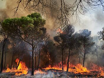 Waldbrand in Spanien