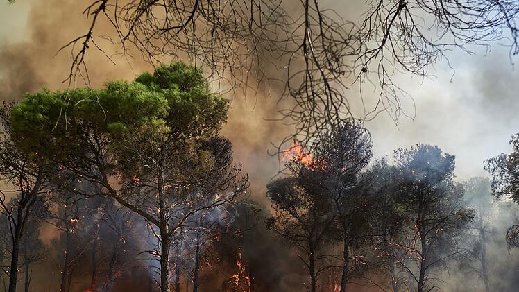 Waldbrand in Spanien