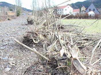 Im Vorgriff auf den Bau der Ortsumgehung Zeyern wurden auf dem Areal des ehemaligen Bahndamms Sträucher geräumt.  Foto: Friedwald Schedel