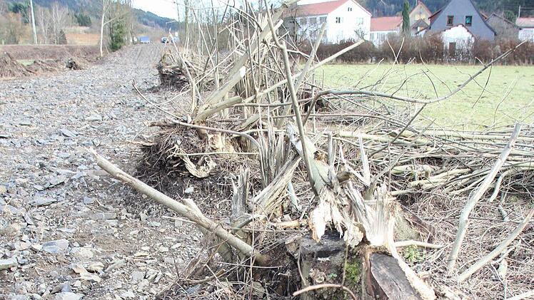 Im Vorgriff auf den Bau der Ortsumgehung Zeyern wurden auf dem Areal des ehemaligen Bahndamms Sträucher geräumt.  Foto: Friedwald Schedel