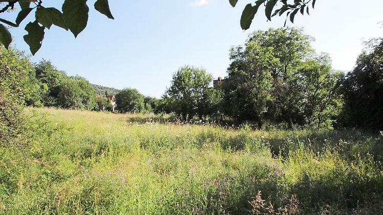 In Ebermannstadt gibt es jede Menge Baulücken und Bau-Erwartungsland wie im Debert (Foto). Bauen darf hier aber niemand.  Foto: Josef Hofbauer