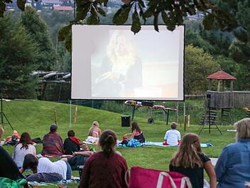 Nicht ganz so viele Zuschauer wie in den vergangenen Jahren kamen zum 3. Open-Air-Kino in Stadtsteinacher Freibad. Foto: Klaus Klaschka
