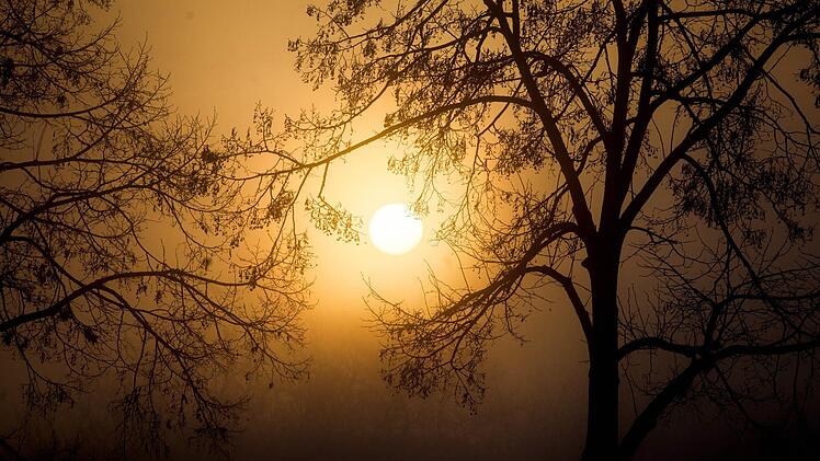 Im Frühjahr ließ sich der erste Lockdown noch mit warmem Sonnenschein überstehen - nun drückt das trübe Novemberwetter zusätzlich die Laune. Symbolfoto: Christoph Schmidt/dpa
