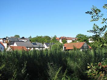 Da war doch mal . . . Richtig, ein Teich! Nachdem der Zuwendungsbescheid bei der Gemeinde eingegangen ist, geht es hier hoffentlich bald mit dem Ausbaggern los. Damit der Schlossteich bald wieder ein Teich sein darf.  Foto: Norbert Karbach