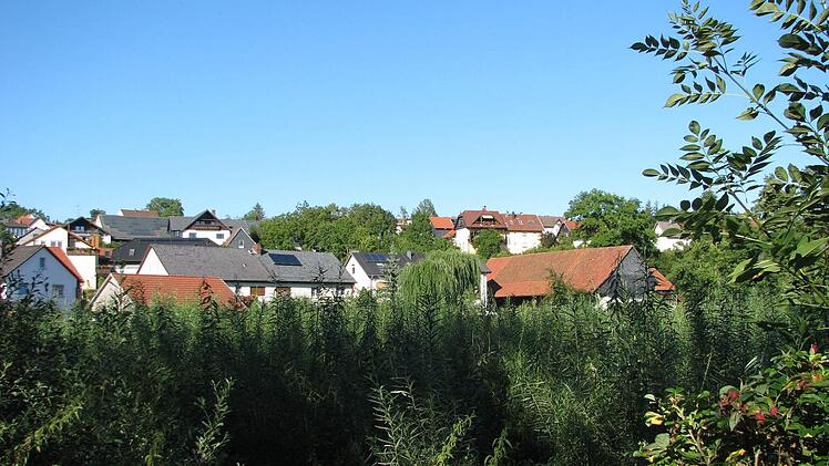 Da war doch mal . . . Richtig, ein Teich! Nachdem der Zuwendungsbescheid bei der Gemeinde eingegangen ist, geht es hier hoffentlich bald mit dem Ausbaggern los. Damit der Schlossteich bald wieder ein Teich sein darf.  Foto: Norbert Karbach