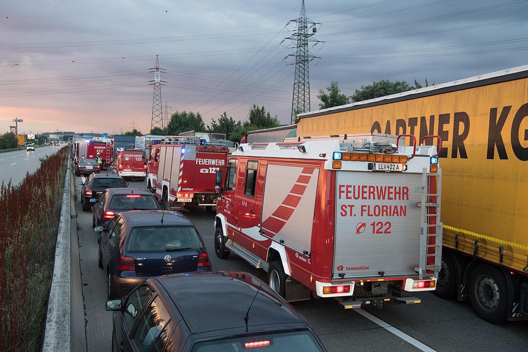 7 000 Hühner im Freilauf auf der Autobahn