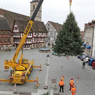 Christbaum kommt aus Schlaifhausen  auf den Forchheimer Rathausplatz