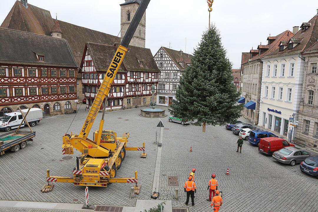 Christbaum kommt aus Schlaifhausen  auf den Forchheimer Rathausplatz
