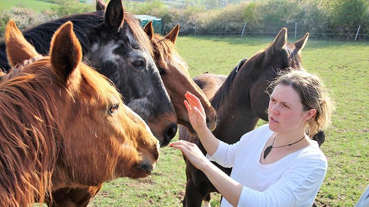 Auf der Koppel ist Selina stets von allerhand Rössern umgeben. Diana Fuchs