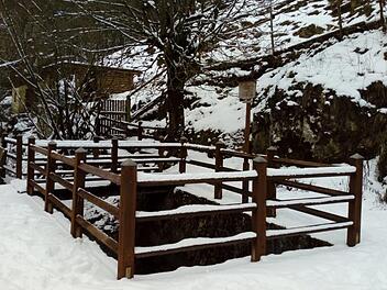 Die von einem Holzgeländer eingezäunte Trubachquelle am Ortsrand von Obertrubach ist im Sommer kaum erkennbar und im Winter noch weniger. Vielleicht hilft das im Bericht geschilderte Vorhaben dabei, den Brunnen erlebbar zu machen. Foto: privat