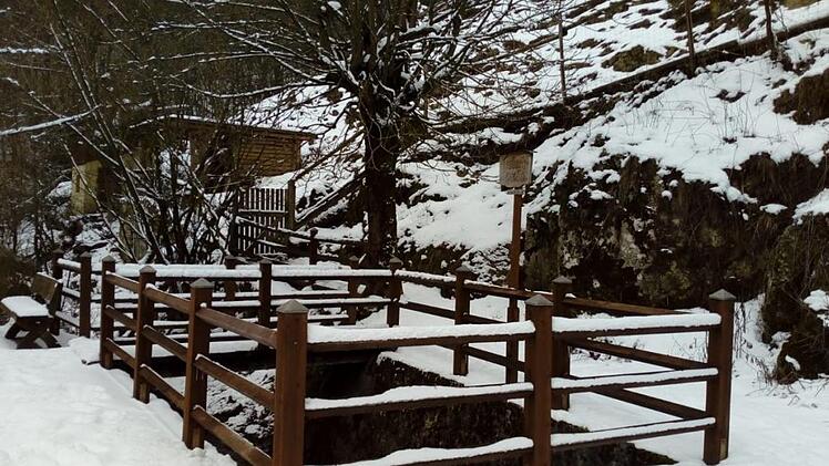Die von einem Holzgeländer eingezäunte Trubachquelle am Ortsrand von Obertrubach ist im Sommer kaum erkennbar und im Winter noch weniger. Vielleicht hilft das im Bericht geschilderte Vorhaben dabei, den Brunnen erlebbar zu machen. Foto: privat