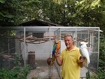 Andreas Hermanns ist mit seinen Vögeln ein eingespieltes Team. Foto: Wolfgang Dünnebier