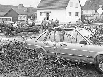 In Kothen war nach dem Sturm "Wiebke" das halbe Dorf bei den Aufräumarbeiten auf den Beinen. Fotos: Archiv Saale-Zeitung