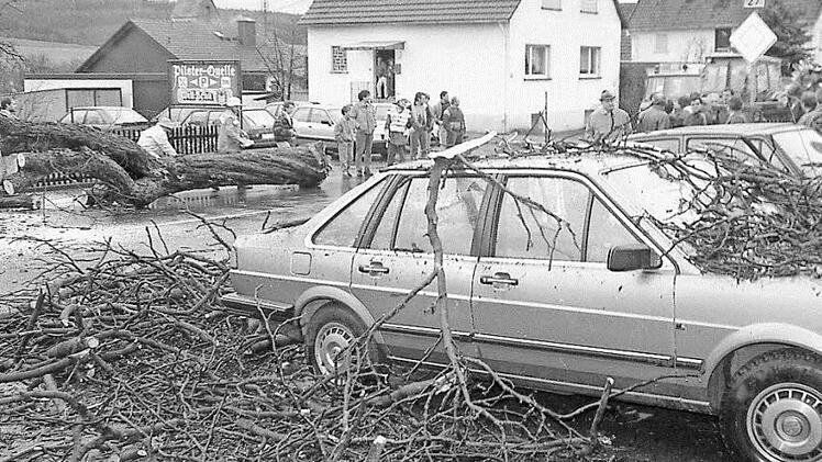 In Kothen war nach dem Sturm "Wiebke" das halbe Dorf bei den Aufräumarbeiten auf den Beinen. Fotos: Archiv Saale-Zeitung